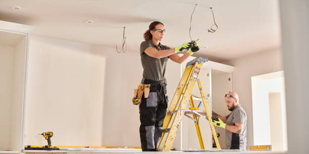 Best Electric Panel Repair  in De Pue, IL